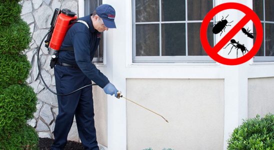 Palandöken Kene İlaçlama böcek ilaçlama ve haşere kontrolü — ilaclama-tr.com